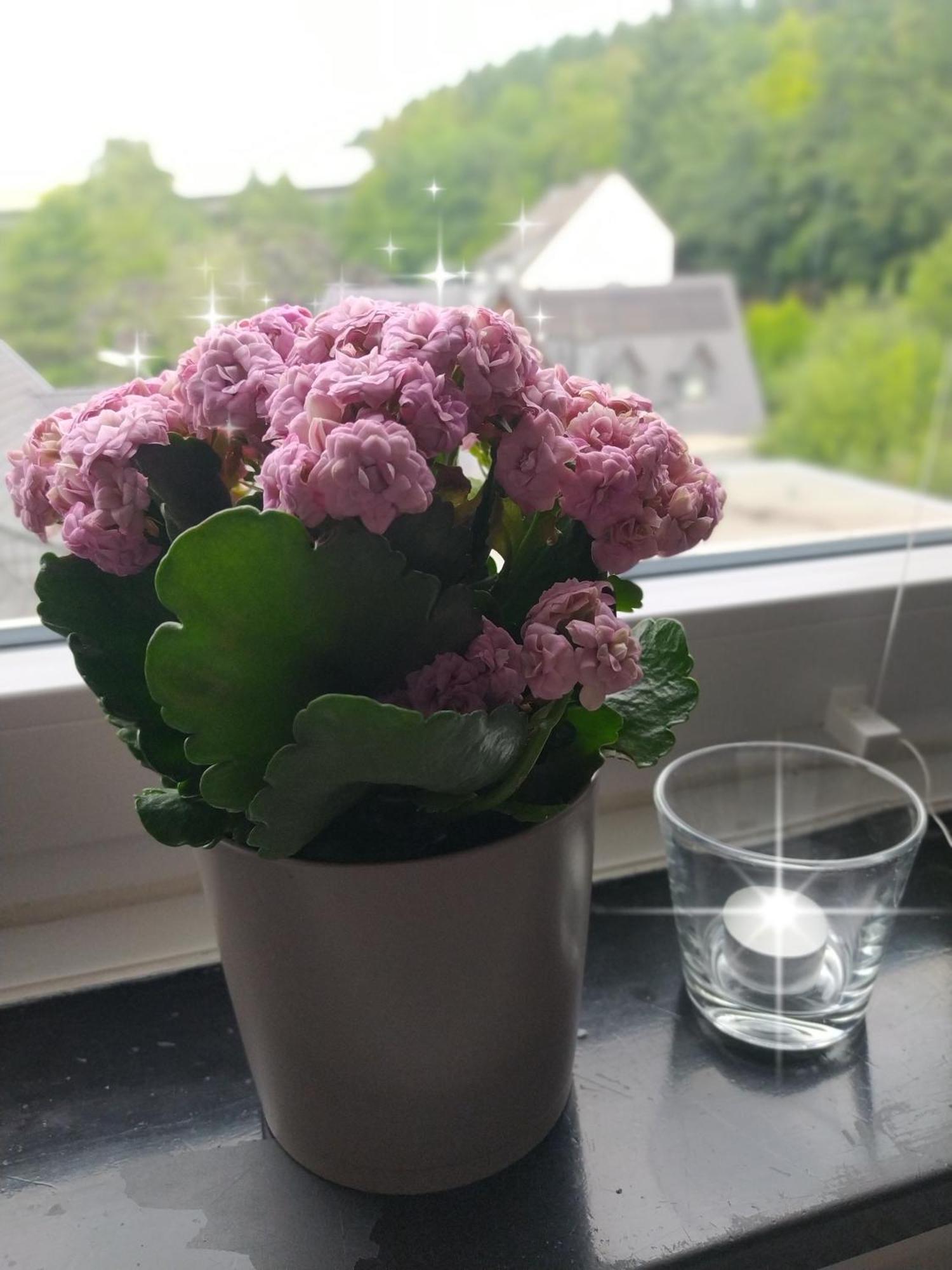 Ruhe Am Walde Apartment Meschede Bagian luar foto
